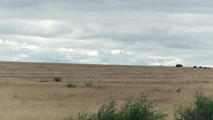 4 Bedroom Property for Sale in Dewetsdorp Rural Free State